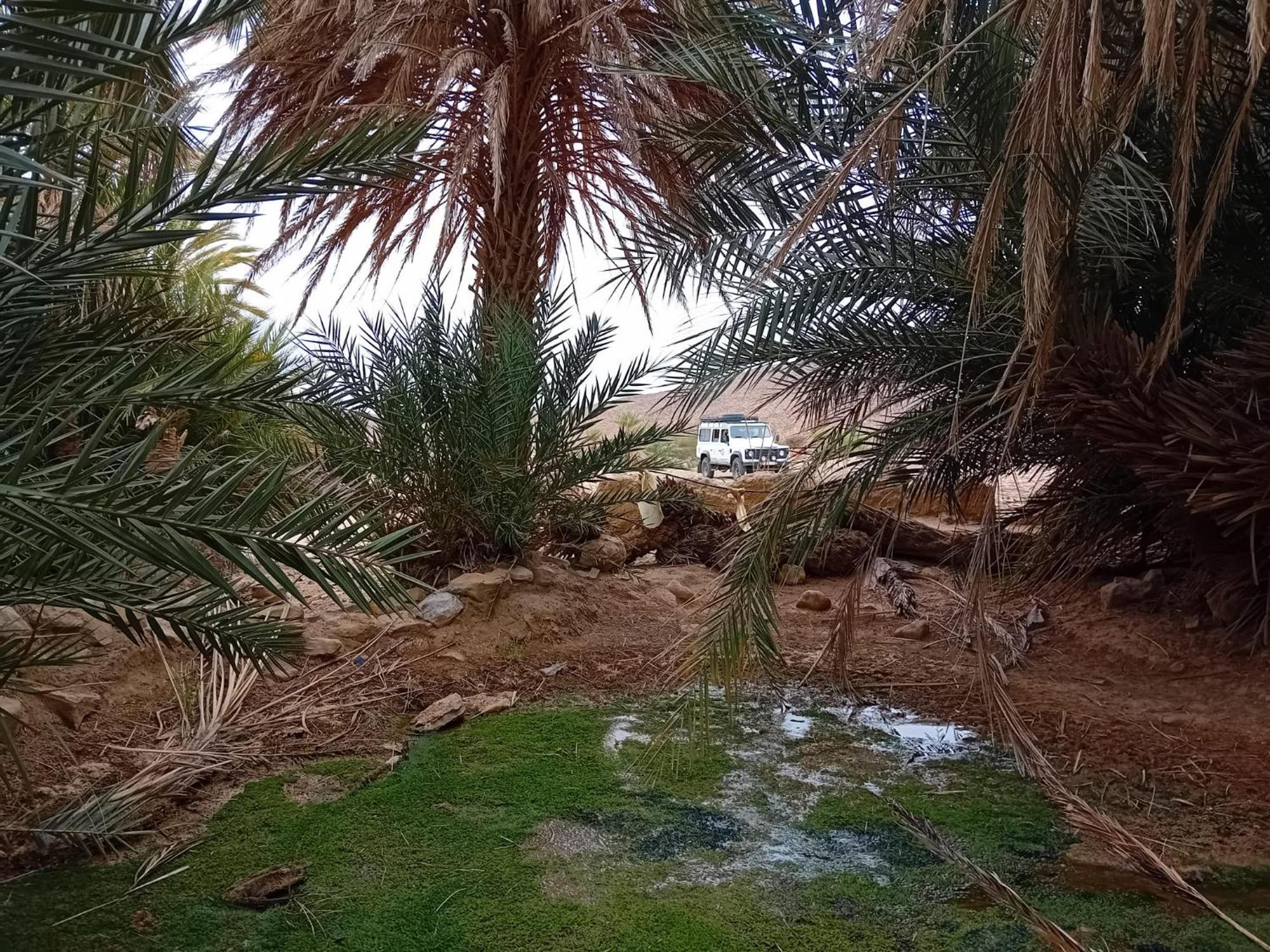 Bivouac Cote-Iriki Hotel Foum Zguid Exterior photo